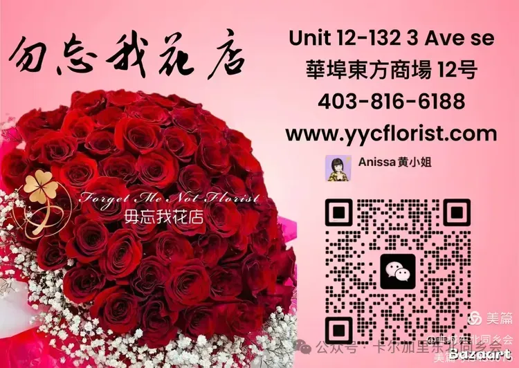 卡尔加里东北同乡会第十届【北国之春】盛世集团冠名赞助元宵节文艺晚会圆满落幕（上）