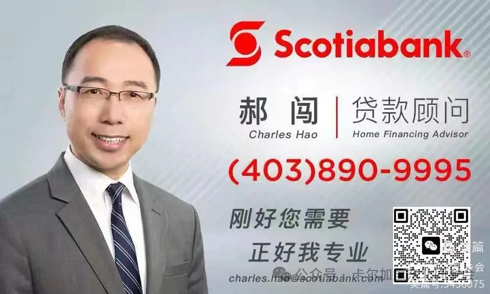 第十一届《北国之春》元宵晚会圆满落幕——金禧大剧院灯火辉煌，共庆团圆佳节