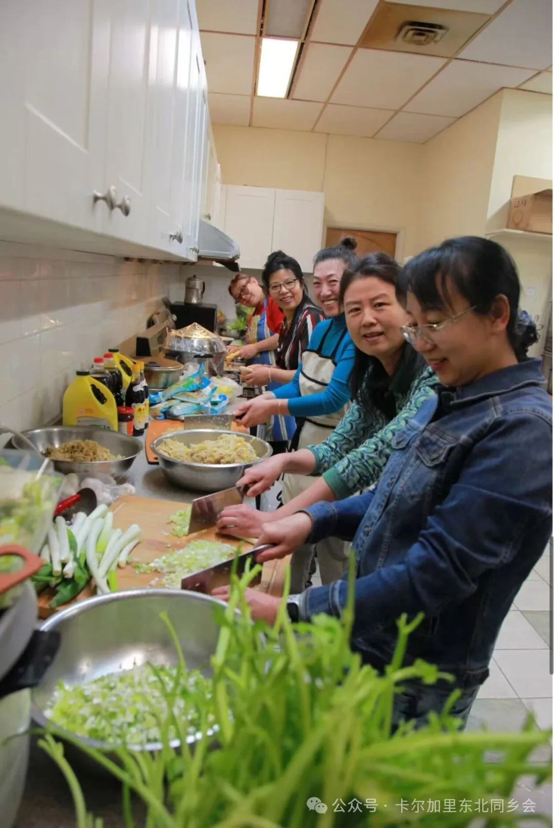 【蛇舞祥云辞旧岁 马驰瑞雪迎新春】——东北同乡会迎春饺子宴圆满落幕